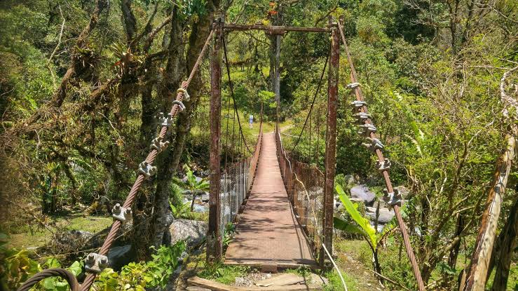 A suspension bridge on a jungle trail in the Boquete highlands